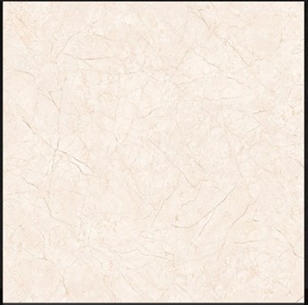 Gạch bóng kiếng TTC 60x60cm PN66005