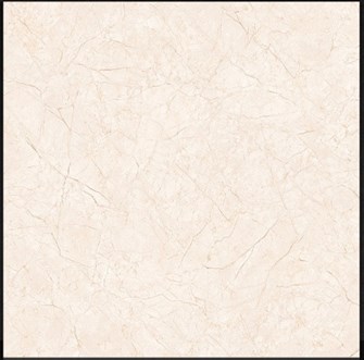 Gạch bóng kiếng TTC 60x60cm PN66005