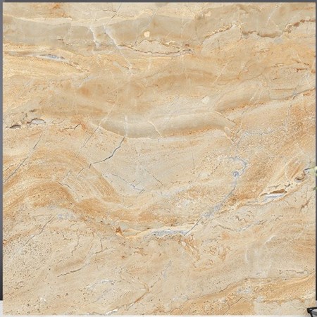 Gạch bóng kiếng TTC 60x60cm PN66038