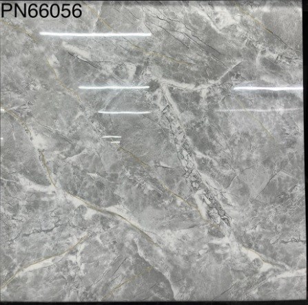 Gạch bóng kiếng TTC 60x60cm PN66056