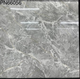 Gạch bóng kiếng TTC 60x60cm PN66056