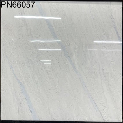 Gạch bóng kiếng TTC 60x60cm PN66057