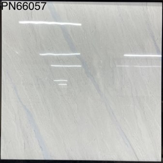 Gạch bóng kiếng TTC 60x60cm PN66057