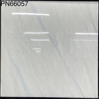 Gạch bóng kiếng TTC 60x60cm PN66057
