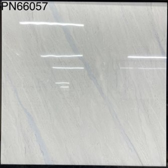 Gạch bóng kiếng TTC 60x60cm PN66057