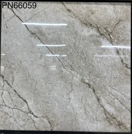 Gạch bóng kiếng TTC 60x60cm PN66059