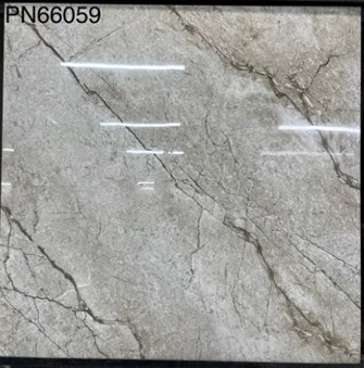 Gạch bóng kiếng TTC 60x60cm PN66059
