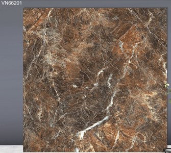 Gạch bóng kiếng TTC 60x60cm VN66201