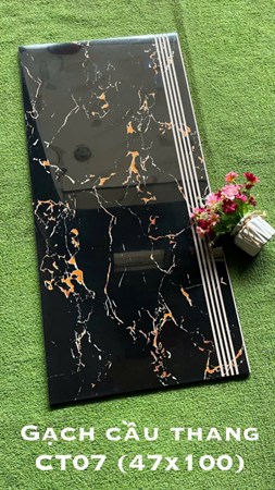 Gạch Cầu Thang 47x100cm CT07