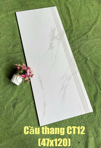 Gạch cầu Thang 47x120cm CT12