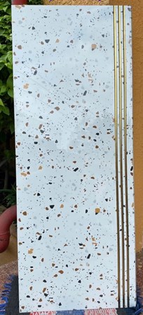 Gạch cầu Thang 47x120cm TS02