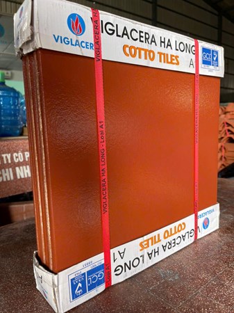 Gạch Cotto Viglacera Hạ Long 40x40cm 