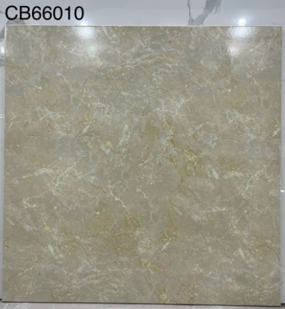 Gạch men 60x60cm TTC CB66010