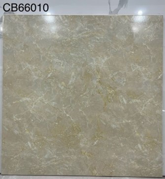 Gạch men 60x60cm TTC CB66010
