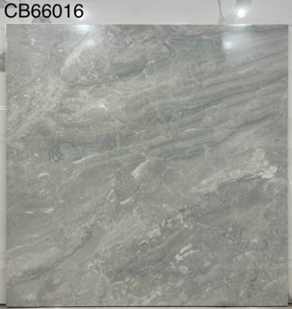 Gạch men 60x60cm TTC CB66016