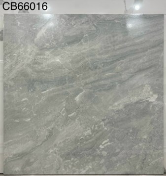 Gạch men 60x60cm TTC CB66016