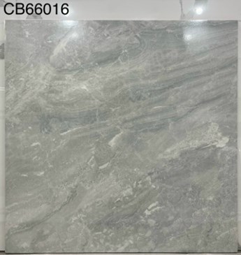 Gạch men 60x60cm TTC CB66016