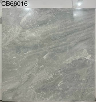 Gạch men 60x60cm TTC CB66016