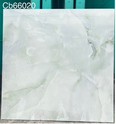 Gạch men 60x60cm TTC CB66020