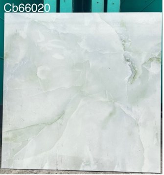 Gạch men 60x60cm TTC CB66020