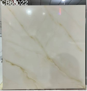 Gạch men 60x60cm TTC CB66022