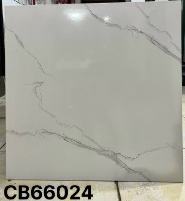 Gạch men 60x60cm TTC CB66024