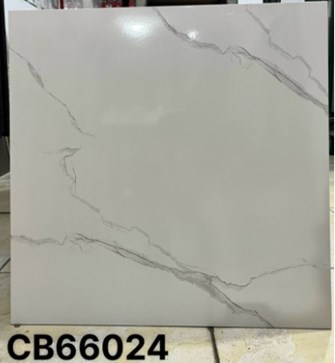 Gạch men 60x60cm TTC CB66024