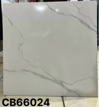 Gạch men 60x60cm TTC CB66024