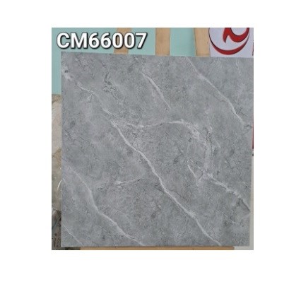 Gạch men 60x60cm TTC CM66007