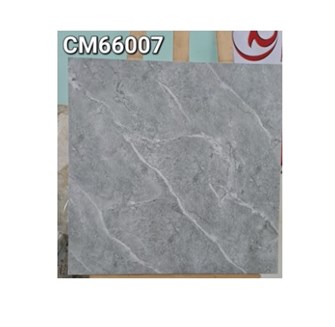 Gạch men 60x60cm TTC CM66007