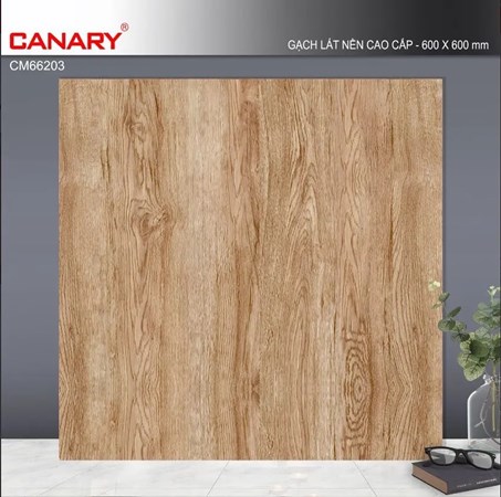 Gạch men 60x60cm TTC CM66203