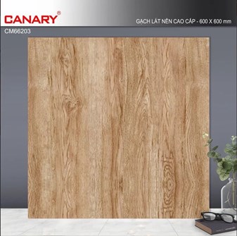 Gạch men 60x60cm TTC CM66203