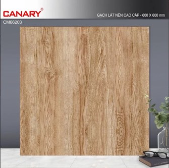 Gạch men 60x60cm TTC CM66203