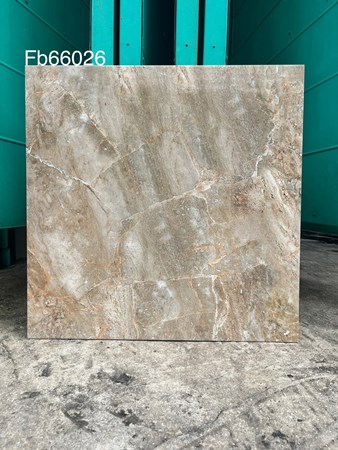 Gạch men 60x60cm TTC FB66026
