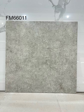 Gạch men 60x60cm TTC FM66011