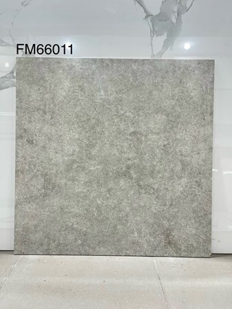 Gạch men 60x60cm TTC FM66011