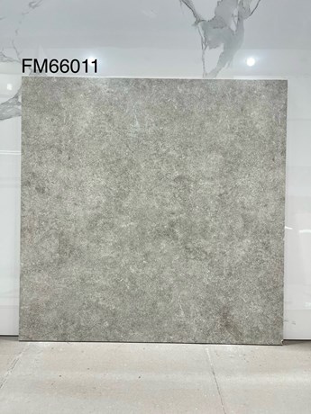 Gạch men 60x60cm TTC FM66011