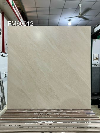 Gạch men 60x60cm TTC FM66012