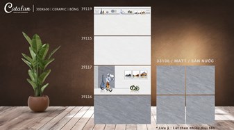 Gạch men bóng 30x60cm CATALAN 39115-16-17-19