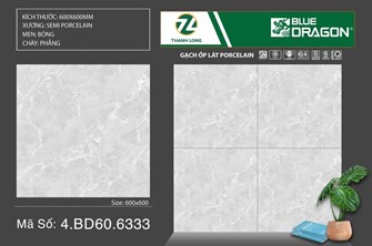 Gạch men TASA 60x60cm BD6333