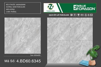 Gạch men TASA 60x60cm BD6345