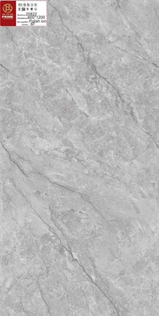 Gạch PRIME 60x120cm 20822 bóng