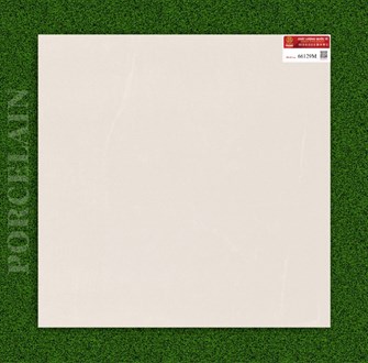 Gạch PRIME 60x60cm đá mờ 66129M
