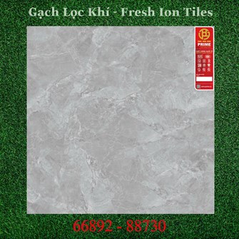 Gạch PRIME 80x80cm 88730 Lọc Khí 