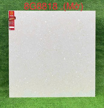 Gạch PRIME 80x80cm 8G8818- mờ