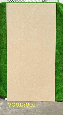 Gạch Royal 60x120cm VG612601 Mờ