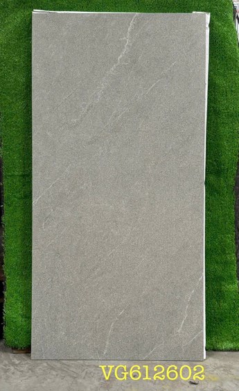 Gạch Royal 60x120cm VG612602 Mờ 
