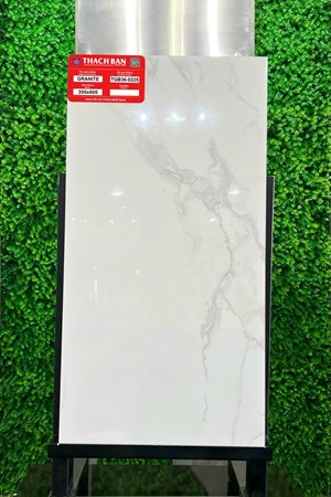 Gạch Thạch Bàn 30x60cm Granit Bóng TGB36-0225