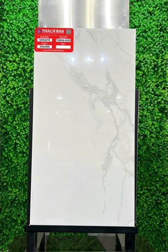 Gạch Thạch Bàn 30x60cm Granit Bóng TGB36-0225