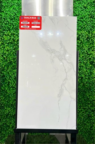Gạch Thạch Bàn 30x60cm Granit Bóng TGB36-0225